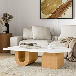 Modern Oval  Minimalist Design Coffee Table