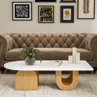 New Arrival -- Modern Oval Coffee Table