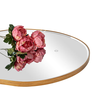 LED-Accented Asymmetrical Metal Wall Mirror